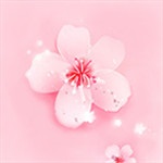 樱花草视频在线版 樱花草视频在线版
