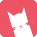 猫咪视频社区在线播放版 猫咪视频社区在线播放版