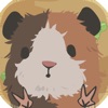 天竺鼠农场游戏 天竺鼠农场游戏