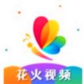 花火视频剪辑 花火视频剪辑