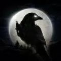 NightCrows夜鸦汉化版 NightCrows夜鸦汉化版