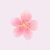 h花草贴纸app h花草贴纸app