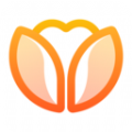 荷缘app 荷缘app
