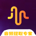 Ins音频提取 Ins音频提取