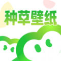 种草壁纸 种草壁纸