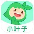 小叶子智能陪练免费版 小叶子智能陪练免费版