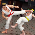 散打武术模拟游戏 散打武术模拟游戏