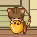 在线宠猫游戏 在线宠猫游戏