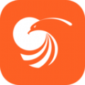 金鹰金掌柜 金鹰金掌柜