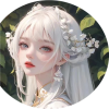 白鸟框架 白鸟框架