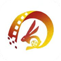 小芥兰 小芥兰