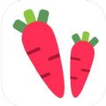 萝卜公考 萝卜公考