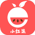 小红果 小红果