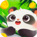 好运熊猫红包版 好运熊猫红包版