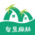 智慧椰林 智慧椰林