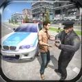 边防警察西姆游戏 边防警察西姆游戏