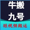 牛搬九号 牛搬九号