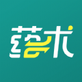 药术 药术
