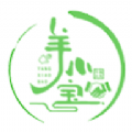 羊小宝 羊小宝