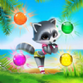 Raccoon Raccoon