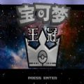 宝可梦王冠雪原手机版 宝可梦王冠雪原手机版