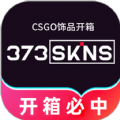 373Skins开箱网 373Skins开箱网