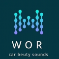 WOR系统 WOR系统