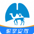 驼掌安驾 驼掌安驾