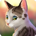 猫咪救援故事游戏 猫咪救援故事游戏