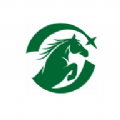 绿马国际 绿马国际