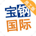 宝钢国际员工版 宝钢国际员工版