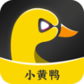 小黄鸭B站视频免费版 小黄鸭B站视频免费版