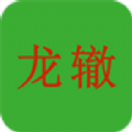 龙辙汽车 龙辙汽车