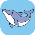 海豚快送 海豚快送