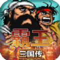 霸王三国传游戏 霸王三国传游戏