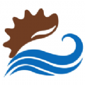 海参云养殖 海参云养殖