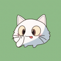 猫印相机 猫印相机