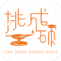 挑灯成硕 挑灯成硕