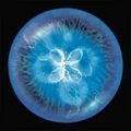 全民星球模拟器游戏 全民星球模拟器游戏