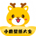 小鹿壁纸大全 小鹿壁纸大全