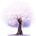 桜舞影视 桜舞影视