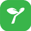 YM游戏 YM游戏