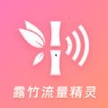 露竹流量精灵 露竹流量精灵