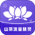 山茶流量精灵 山茶流量精灵
