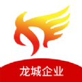 龙城企业 龙城企业