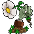 植物大战僵尸仿e支1.2.9 植物大战僵尸仿e支1.2.9