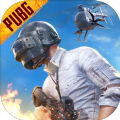 pubg安装器免费版 pubg安装器免费版