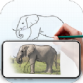 draw draw