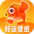 好运壁纸2023最新壁纸 好运壁纸2023最新壁纸