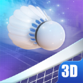 Badminton Badminton